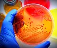 microbiology.jpg microbiology.jpg