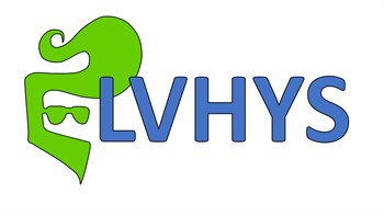 Image of ELVHYS project consortium logo
